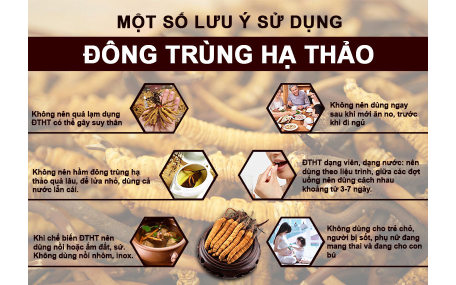 Lưu ý khi sử dụng đông trùng hạ thảo