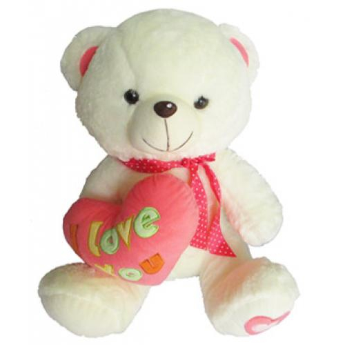 Gấu bông teddy